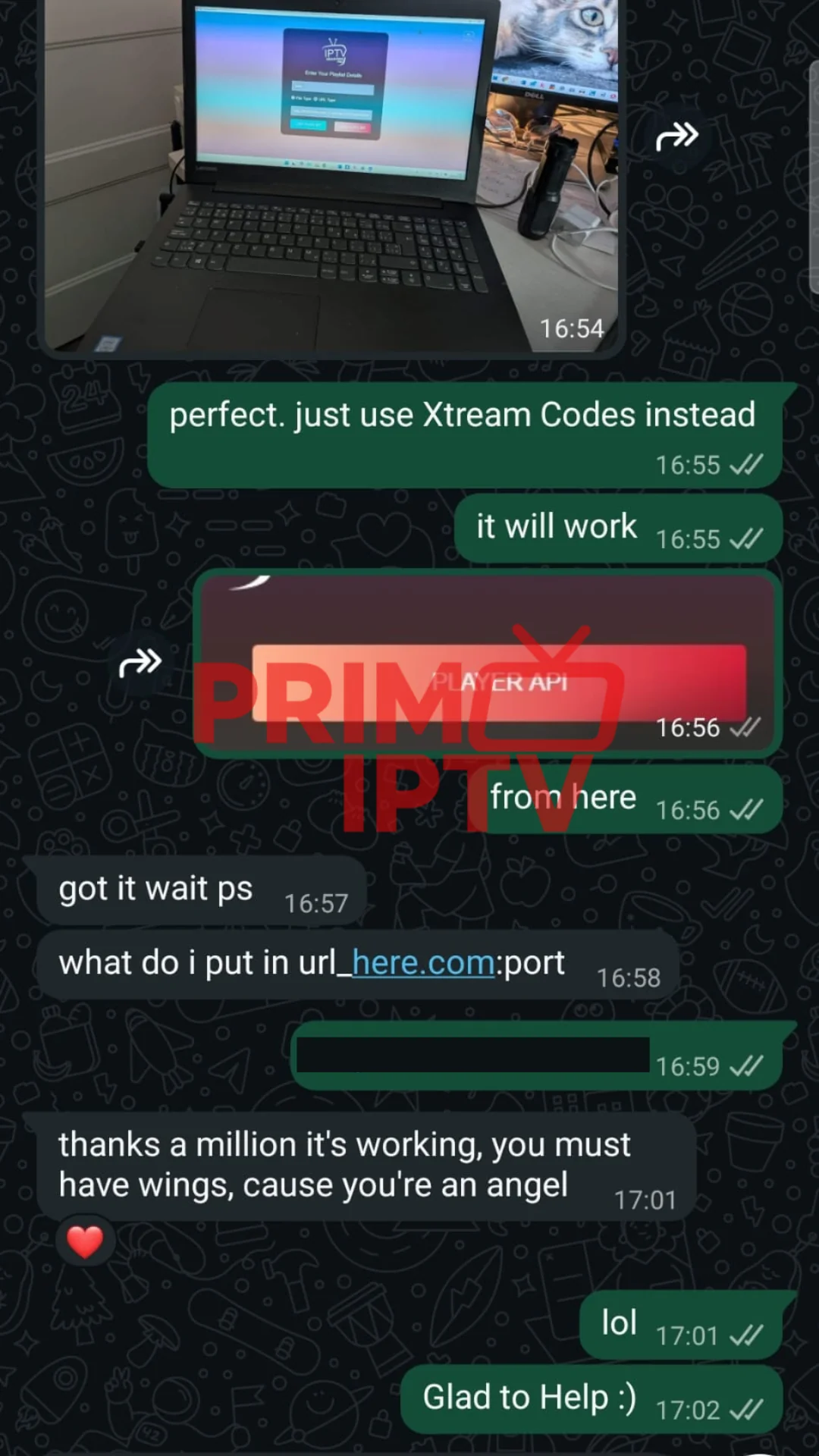 WhatsApp message from a verified PrimoTV customer sharing their experience (review 7 of 7)